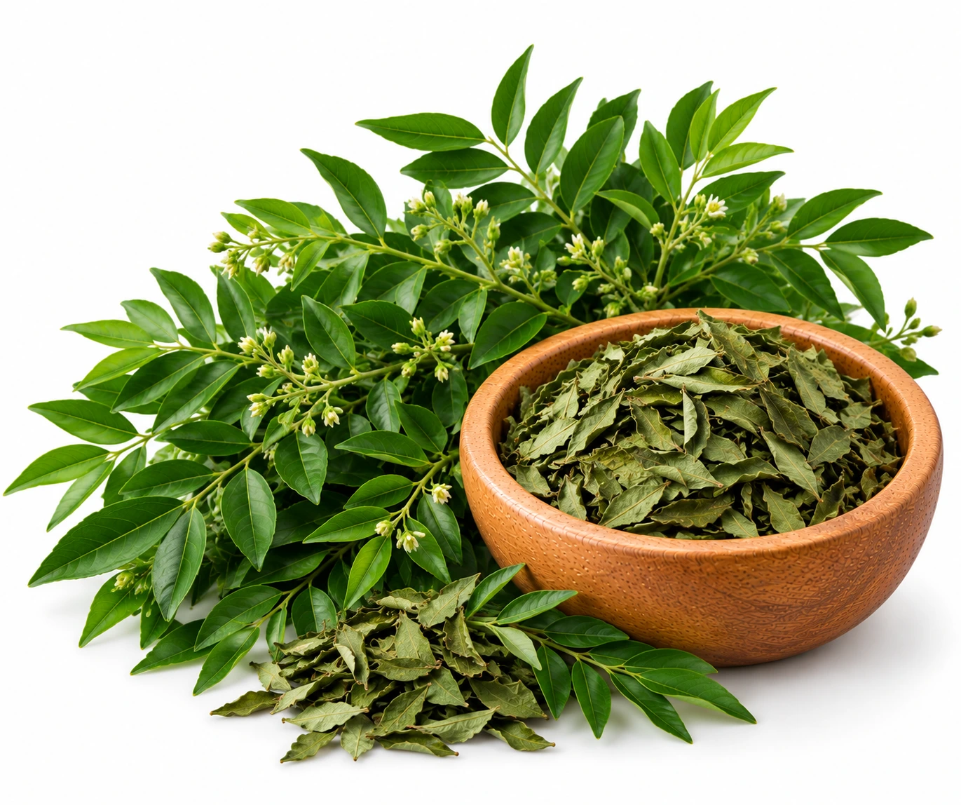 Curry Leaves